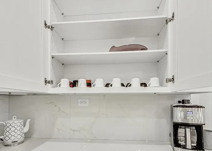 Luxurious Lincoln Park With Gourmet Kitchen